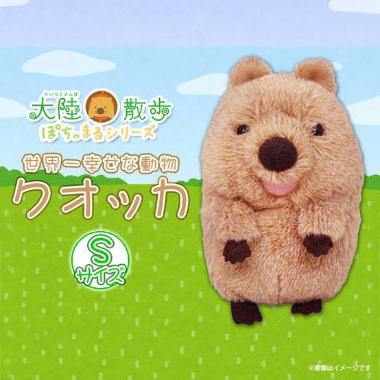 この前、クオッカの可愛いぬいぐるみ売ってるの見つけたし