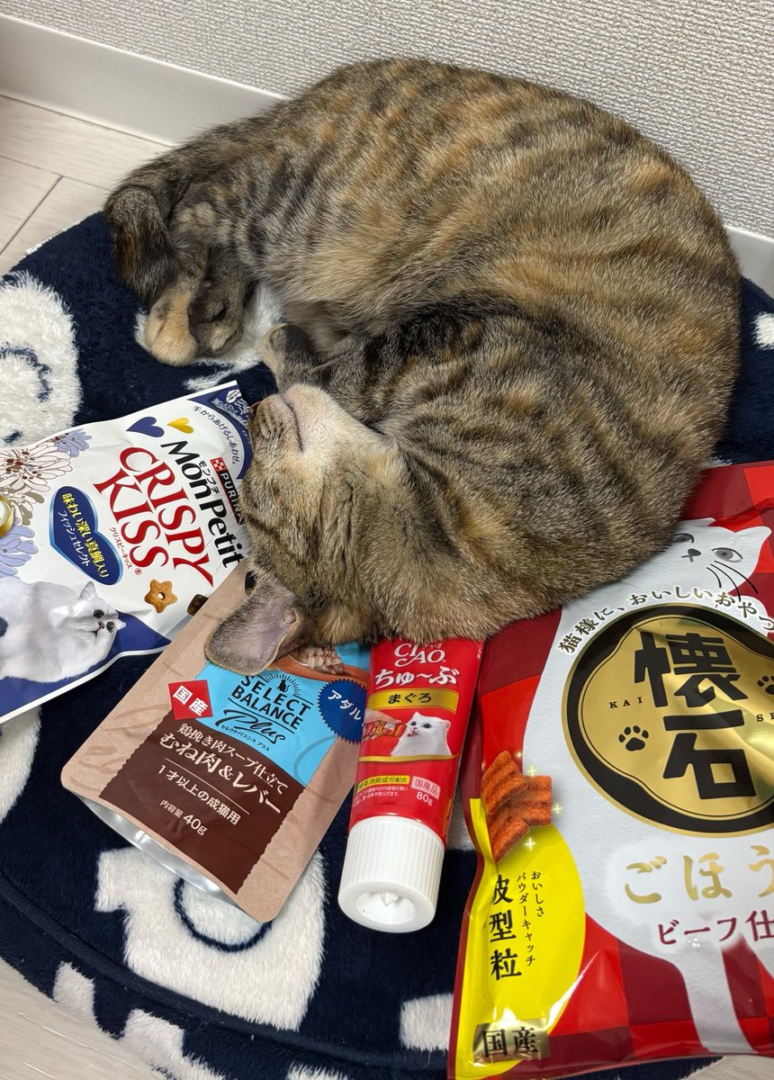 ぴゃーん tweet media