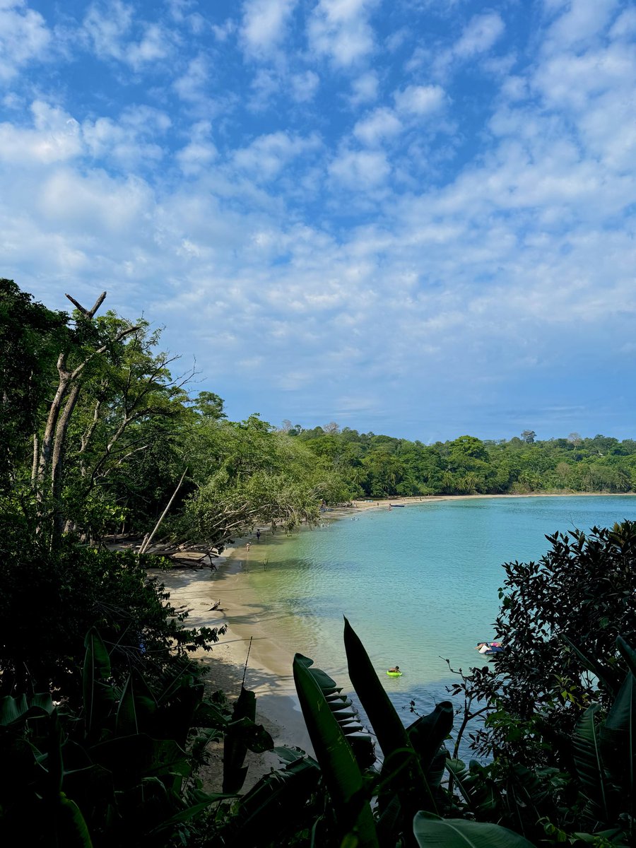 Paradigmcase's tweet photo. Pura vida🌺 https://t.co/BH3Rfvs9WE