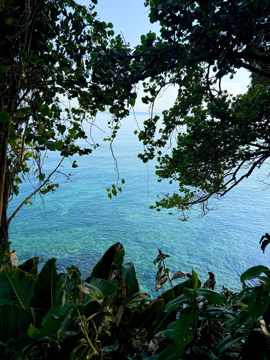 Paradigmcase's tweet photo. Pura vida🌺 https://t.co/BH3Rfvs9WE