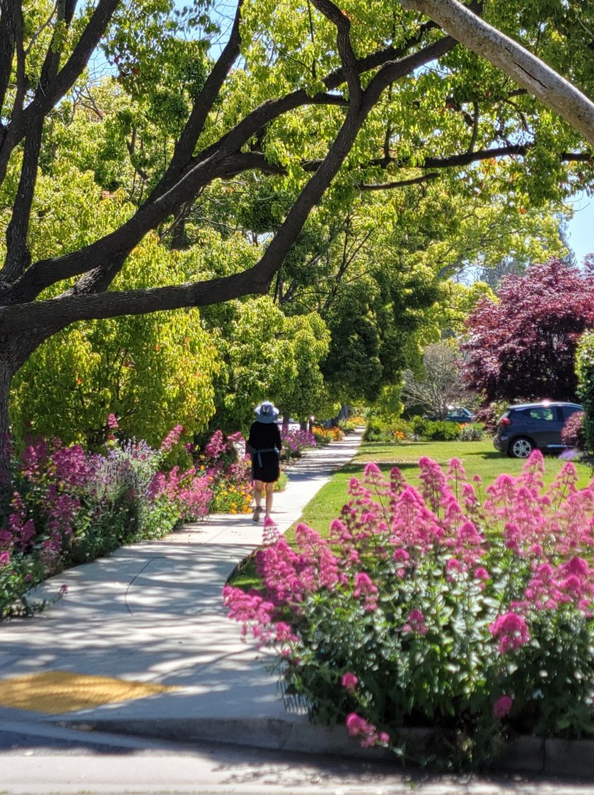 City of Mountain View tweet media