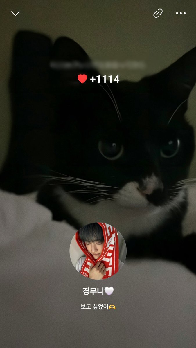 ︎ʚᕱ⑅ᕱɞ tweet media