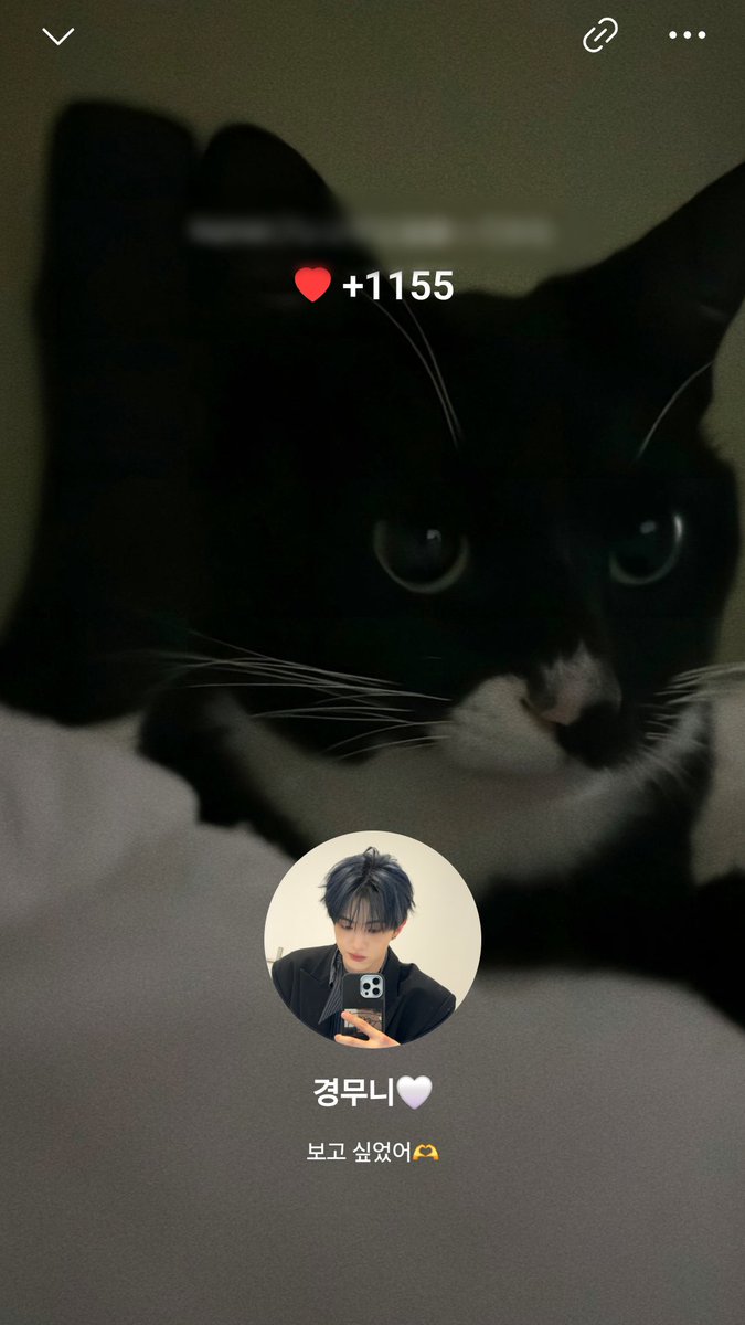 ︎ʚᕱ⑅ᕱɞ tweet media