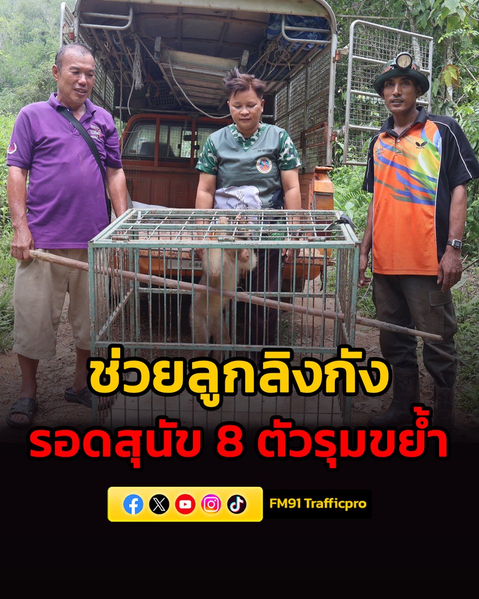 FM91 Trafficpro tweet media