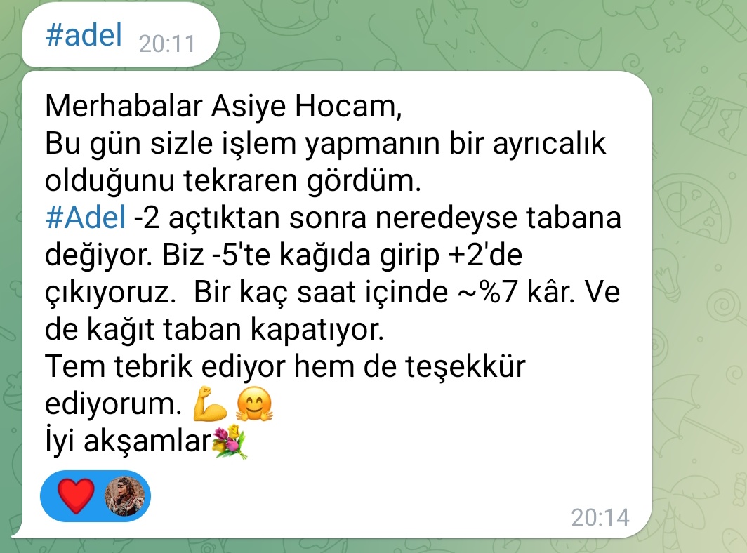 Asiye ARSLAN | RALLİ KRALİÇESİ tweet media