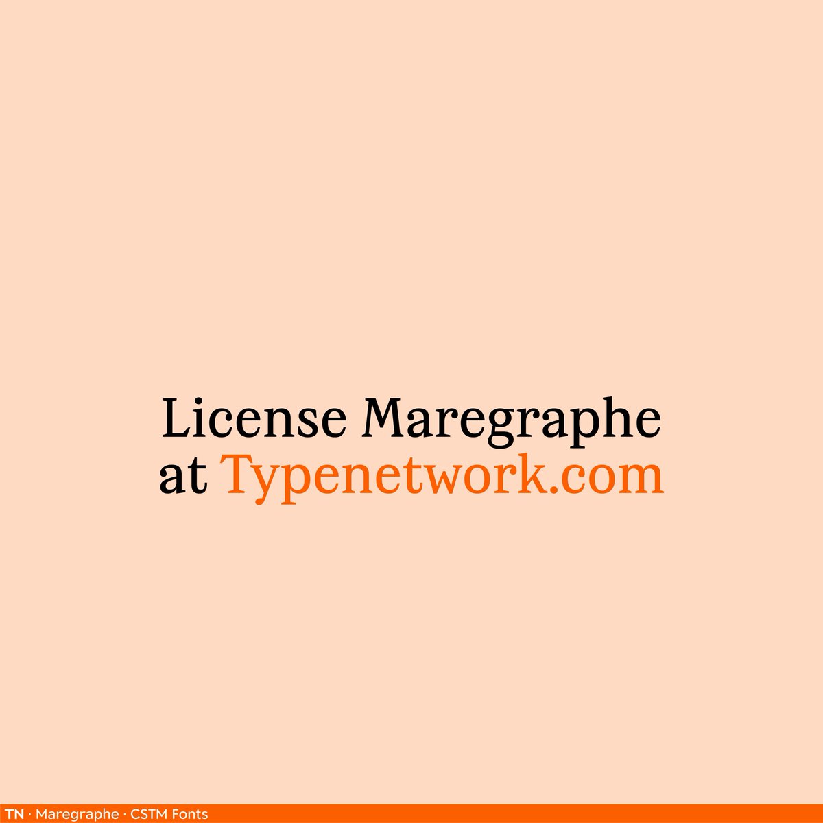 Type Network tweet media