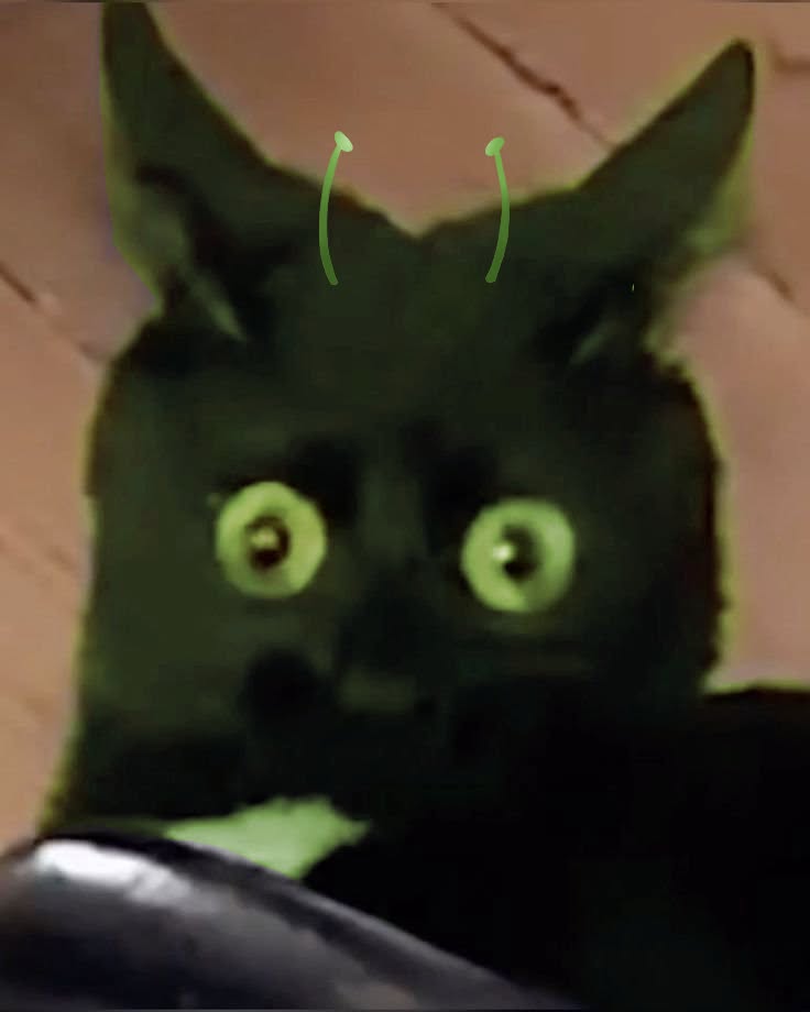Alien Rio tweet media