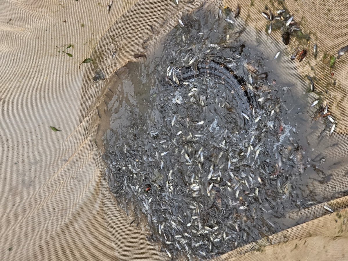 LaWildlife&Fisheries tweet media