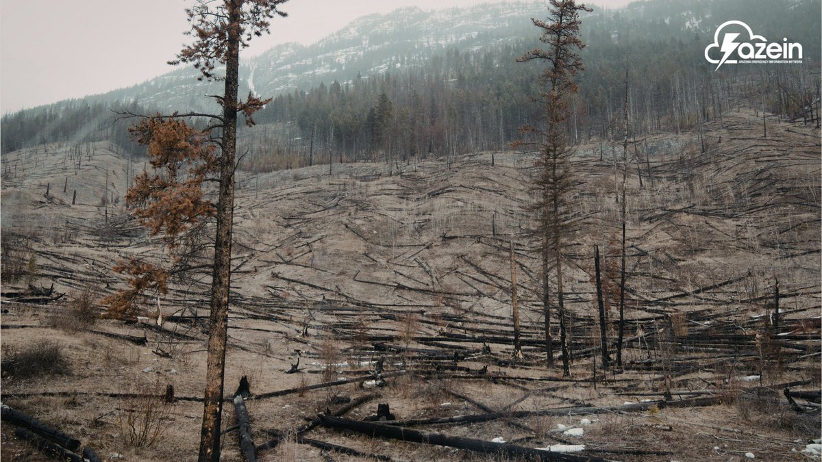 AzEIN's tweet photo. Wildfires leave lasting risks

📱 Text/check social media to contact loved ones
🏠 Don’t return home until cleared
🚰 Confirm water safety
😷 Clean ash safely
🌧️ Watch for floods—risk stays high for years

🔗 https://t.co/7U4Nh0UagN
#WildfireRecovery #FloodRisk #AZPrepared https://t.co/SSyDz2HnD9