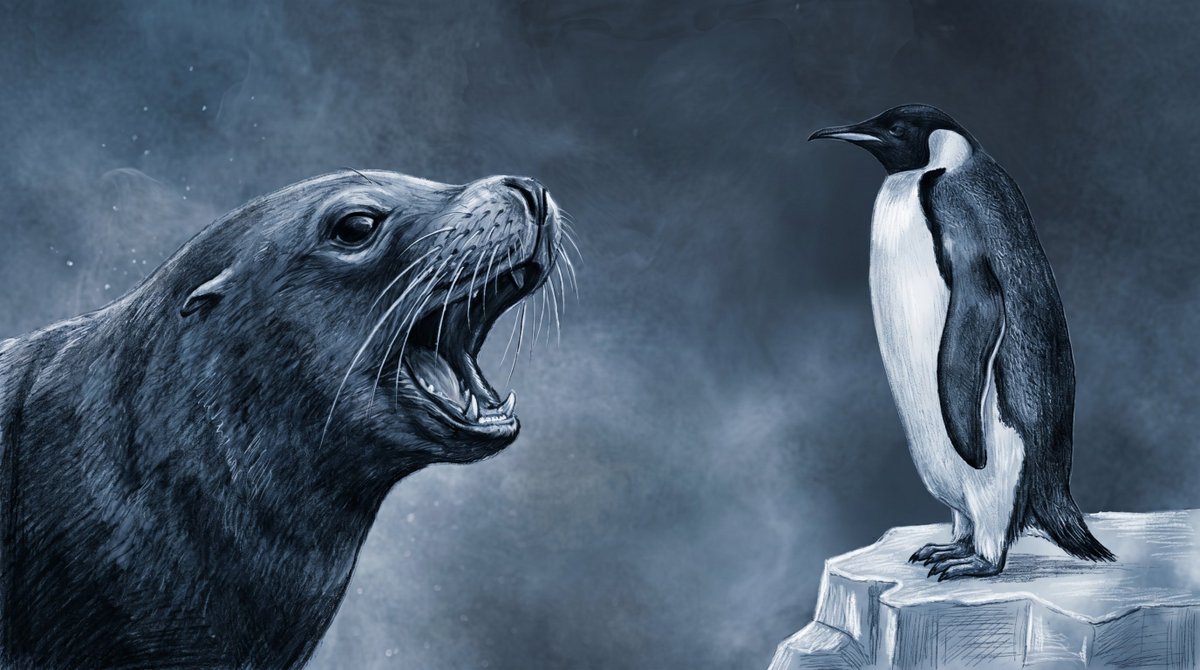 RUNNER PENGUIN tweet media