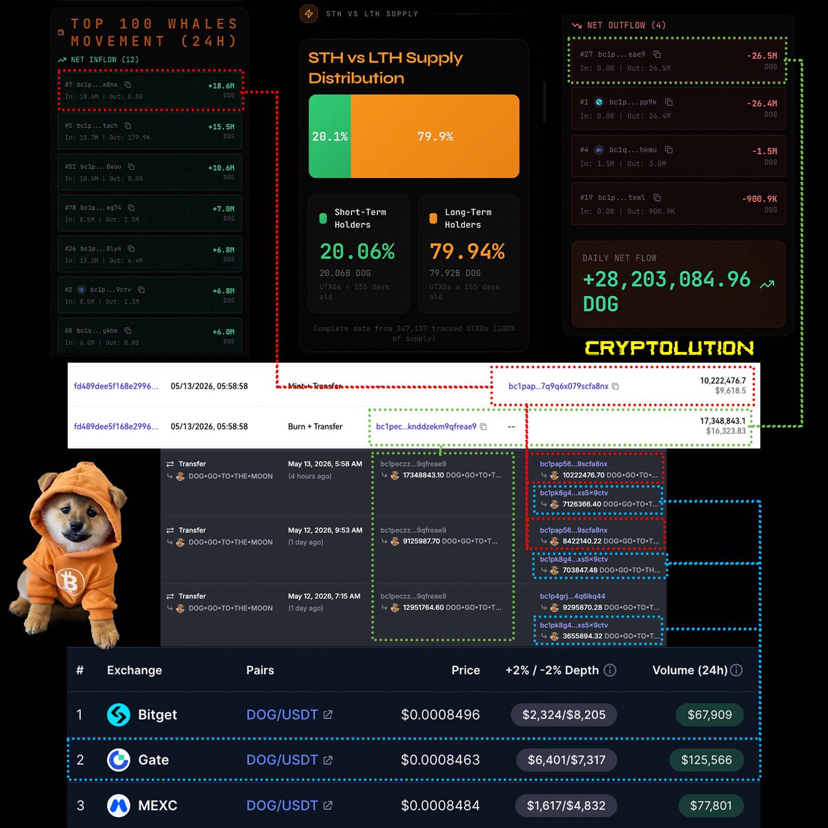 Vincent (Cryptolution) 👑 tweet media