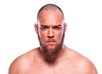 Kevin tweet media