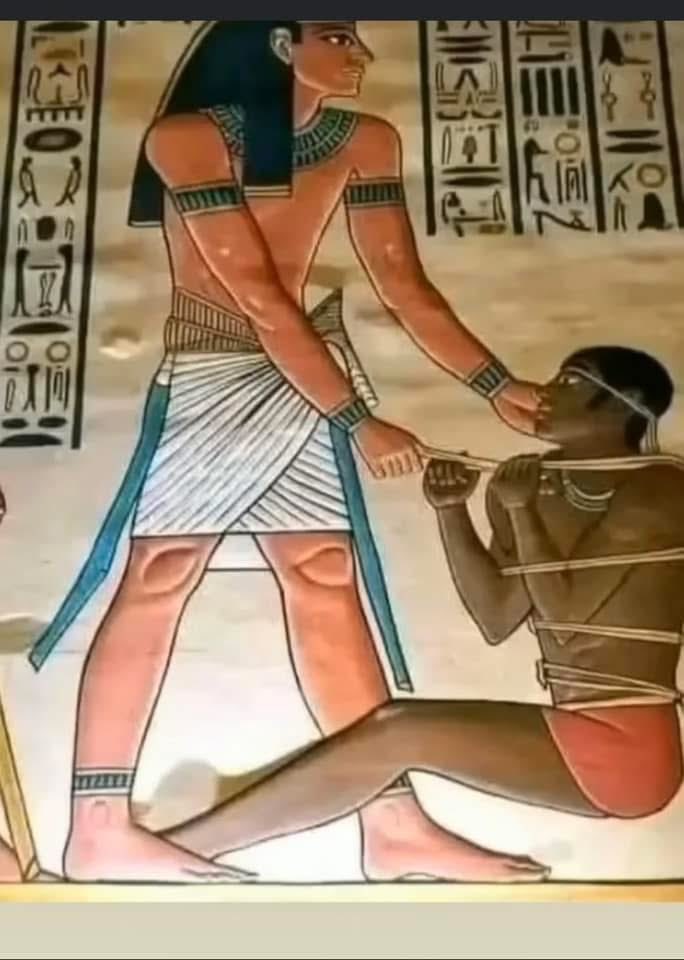 Foad🇪🇬 tweet media