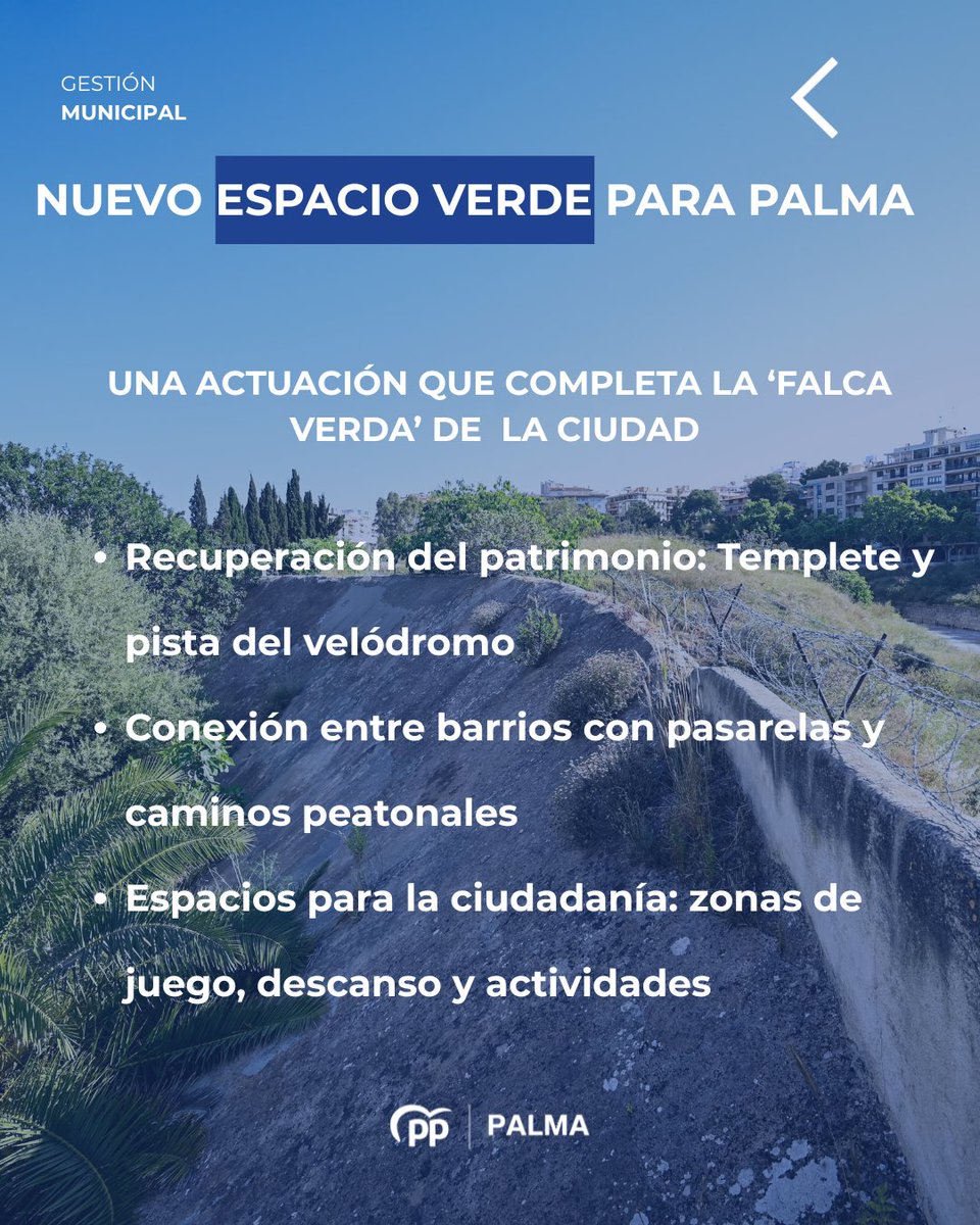 PP Palma tweet media