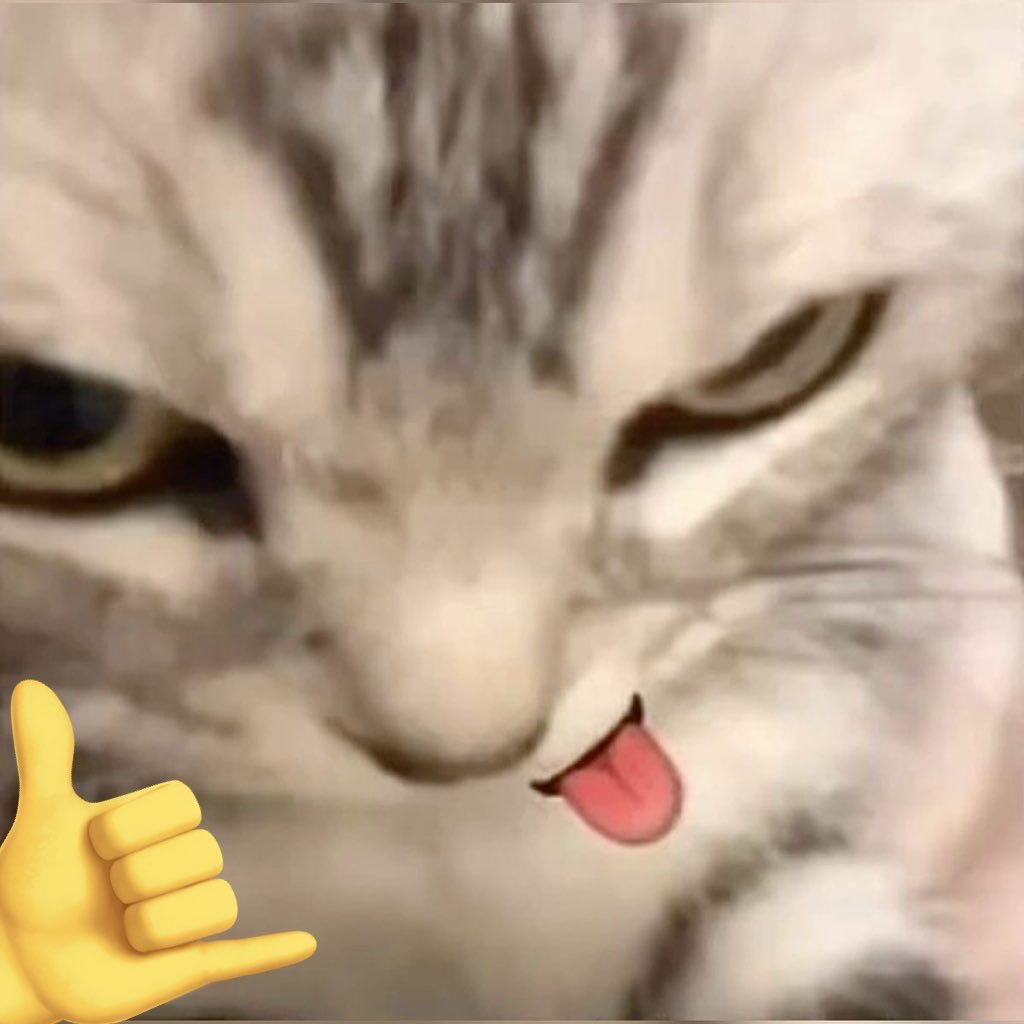 bonuᵗᵗᵖ ྀི tweet media