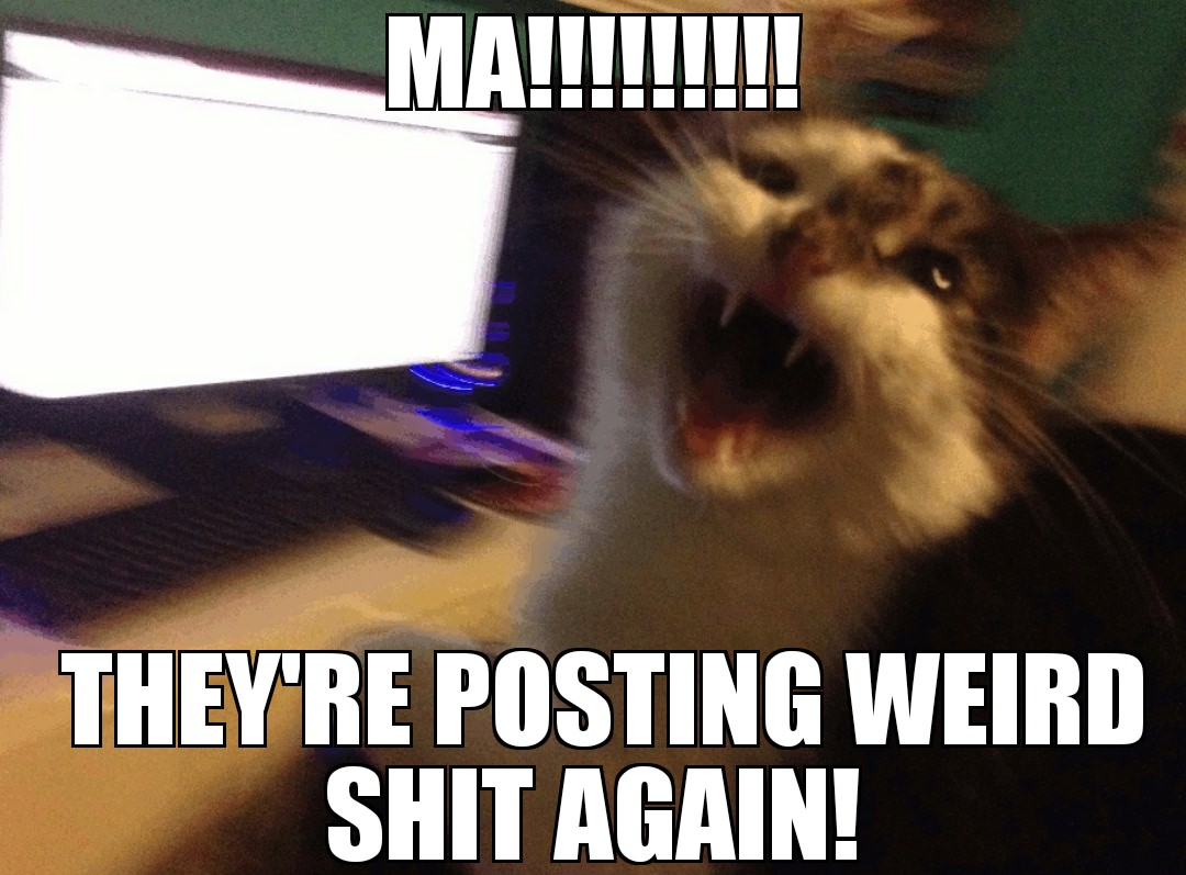 Munchie 433 tweet media