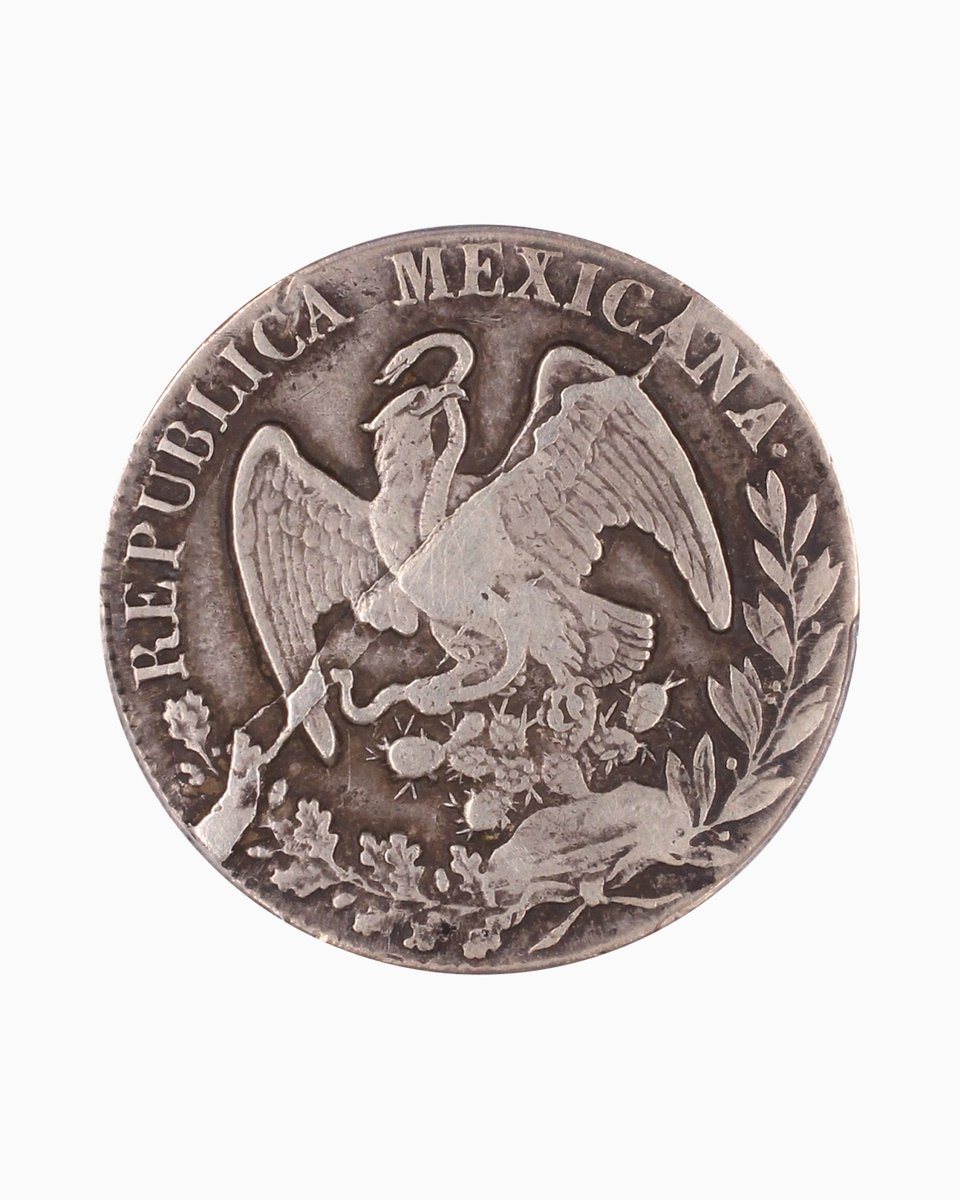 PCGS tweet media