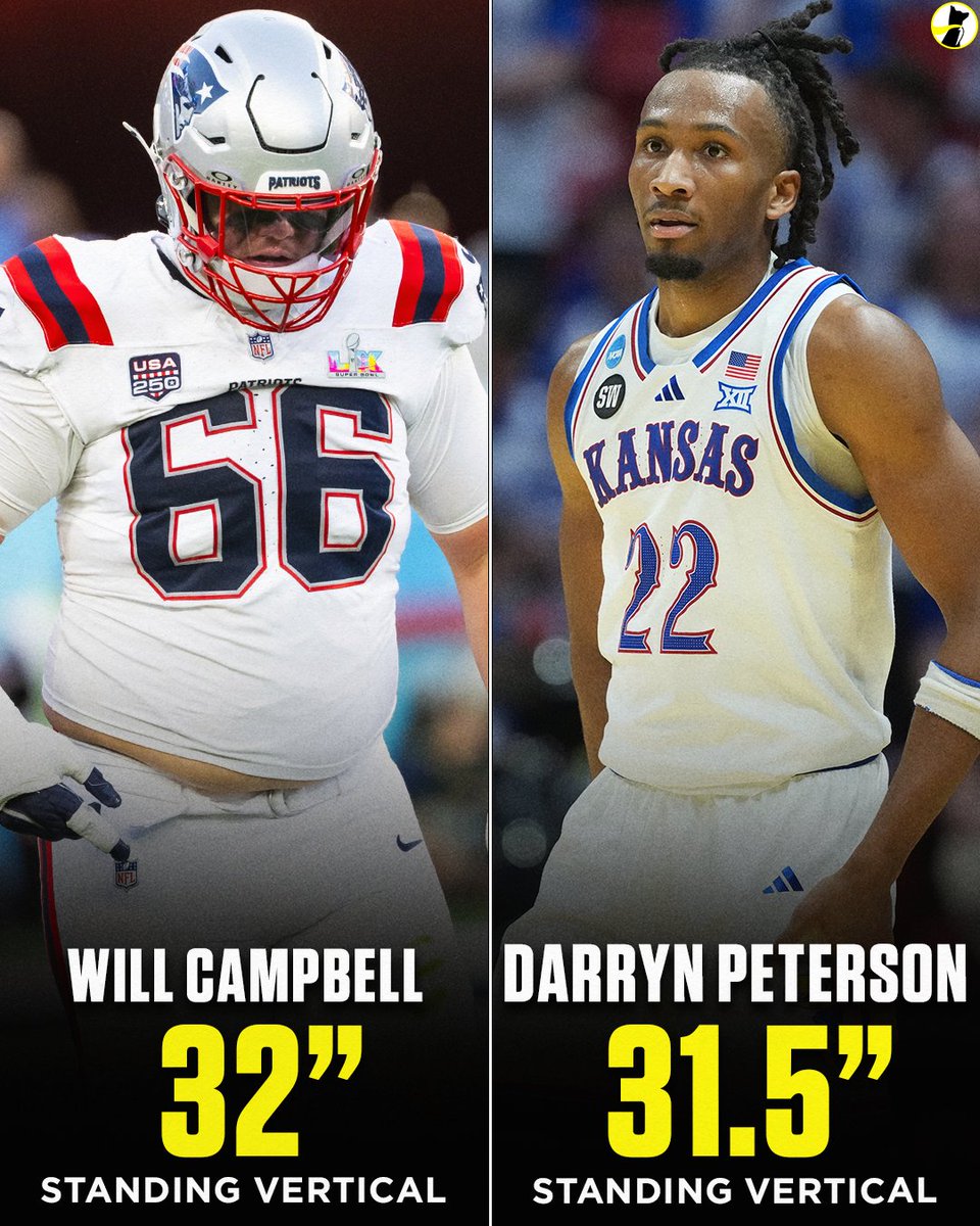 Underdog tweet media