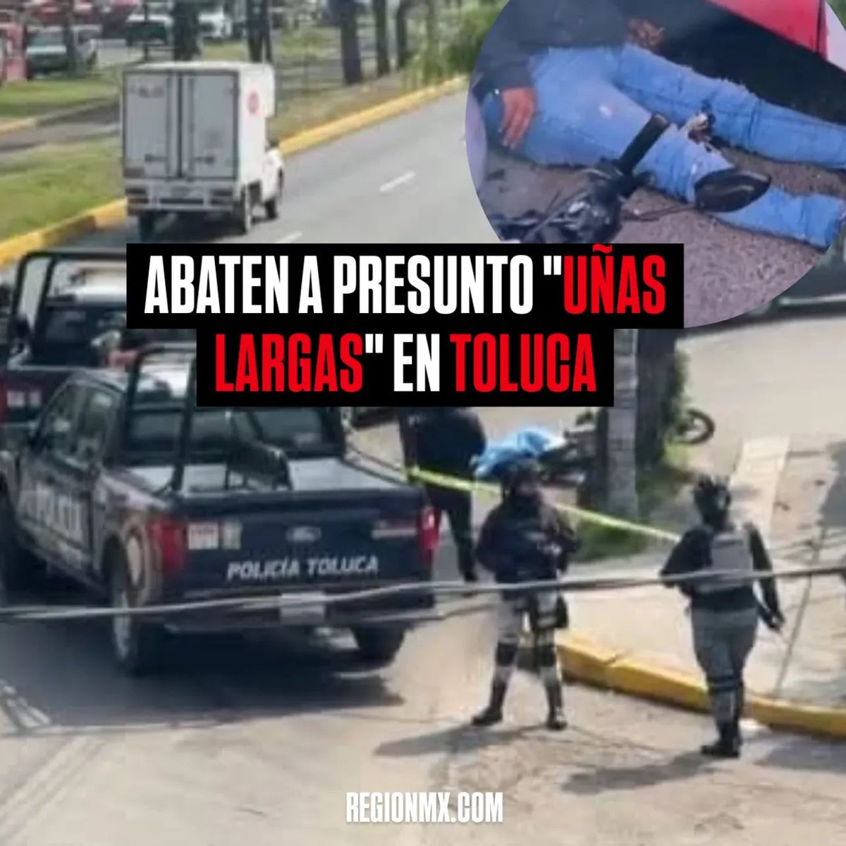 REGIÓN MX® tweet media