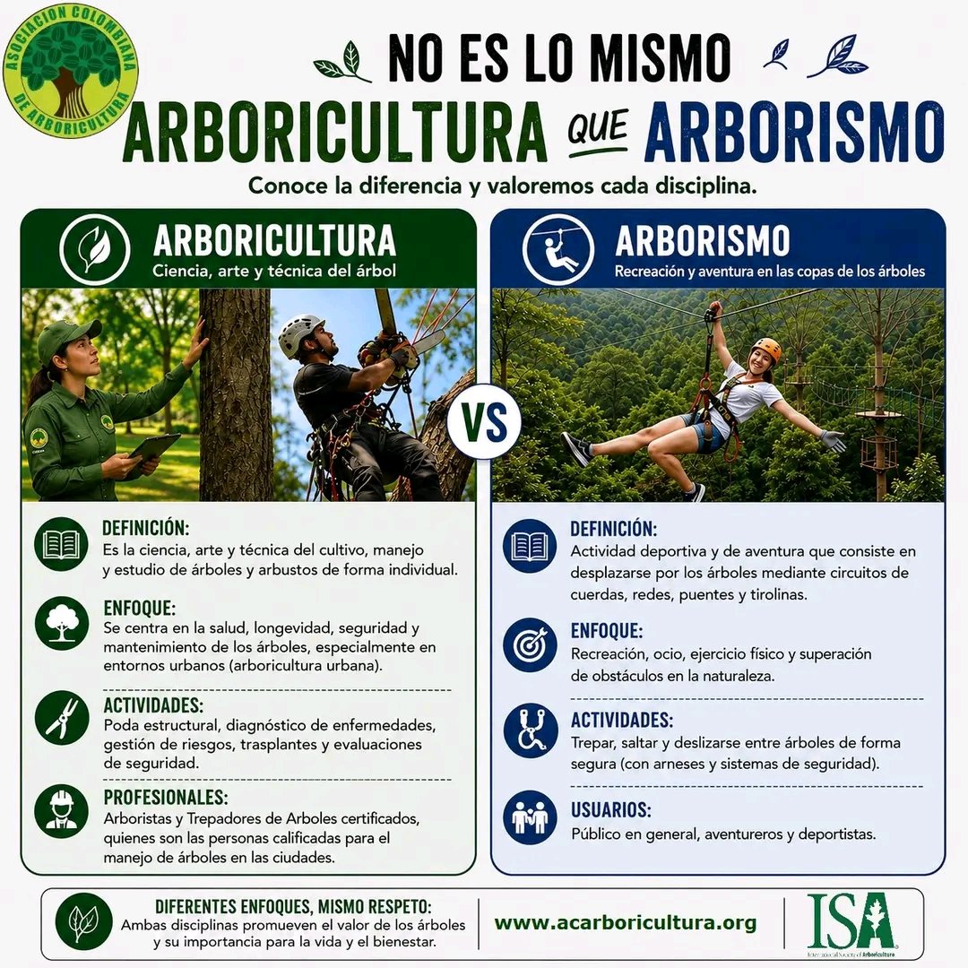 ACA_ARBOR's tweet photo. 🌳❓ ¿Sabías que Arboricultura y Arborismo NO son lo mismo?

Aunque ambos están relacionados con los árboles, tienen enfoques completamente diferentes 👇

Desde la ACA queremos seguir promoviendo el conocimiento técnico y la correcta comprensión de nuestra profesión. https://t.co/j6hZYyqoz6
