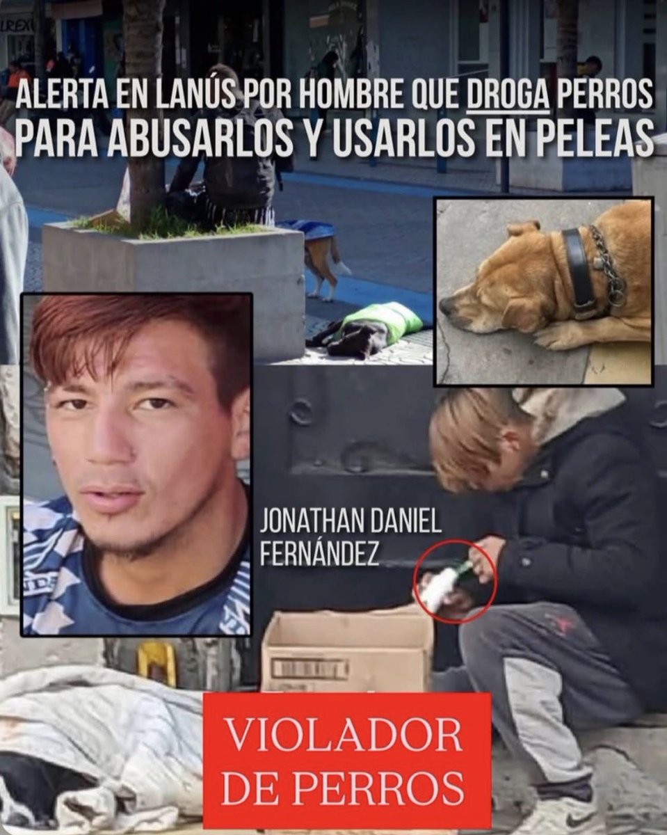 🧸 ✮ Agustina. ✮ 🚜🇦🇷 tweet media