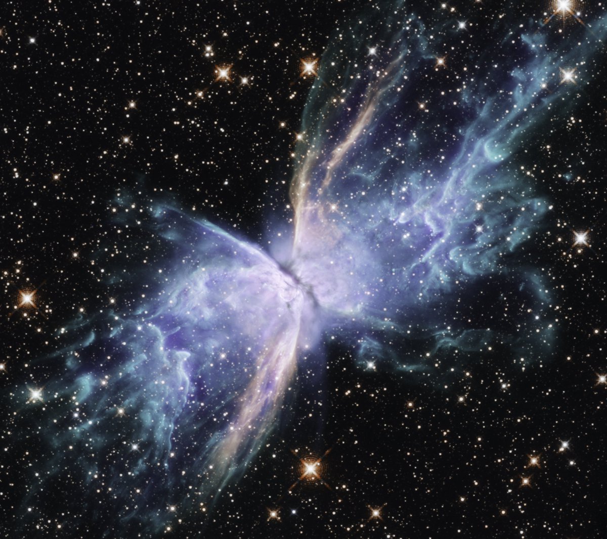 Night Sky Today tweet media