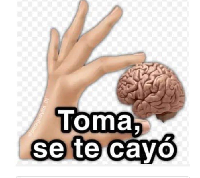 progresista tweet media