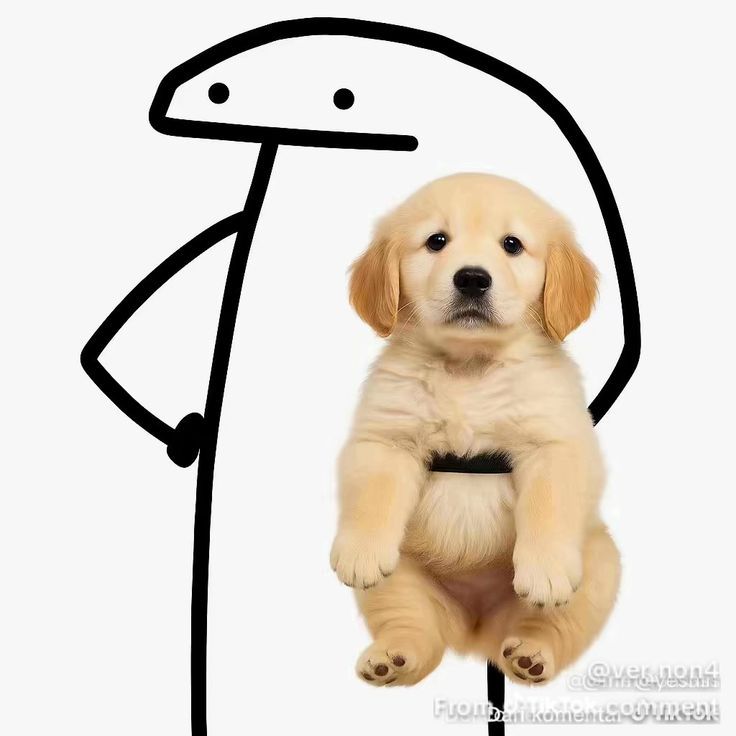 Tamina_17's tweet photo. @wanlan500 ARGHH SO CUTE 🥹❤️❤️ https://t.co/SEjSoCSN1I