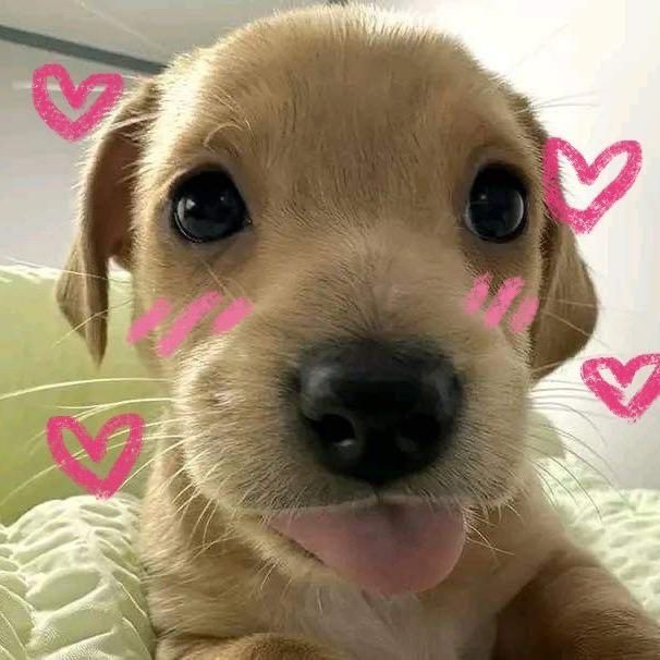 Tamina_17's tweet photo. @wanlan500 ARGHH SO CUTE 🥹❤️❤️ https://t.co/SEjSoCSN1I