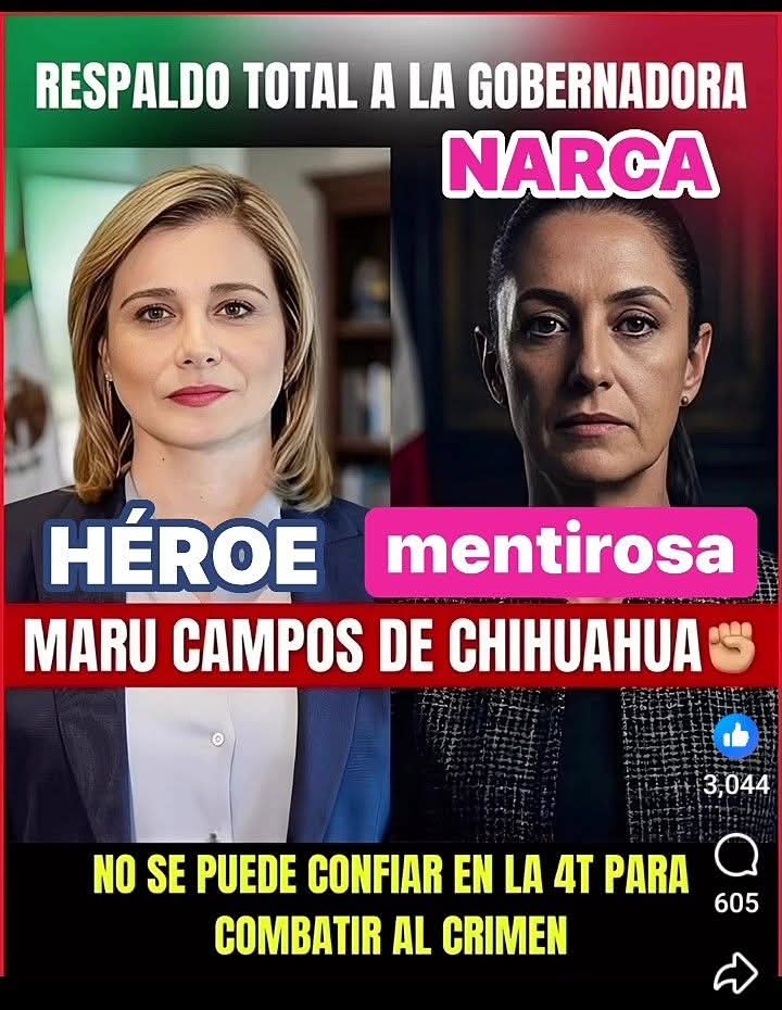 MarYager tweet media