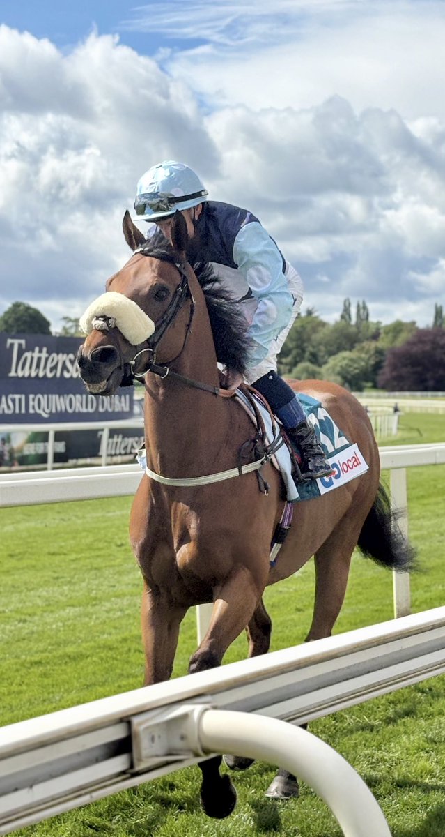 Ally 🏇🏻 tweet media