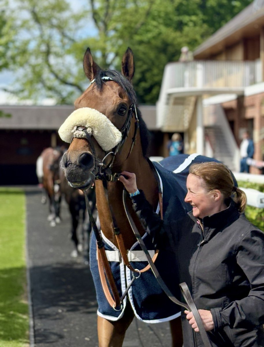 Ally 🏇🏻 tweet media