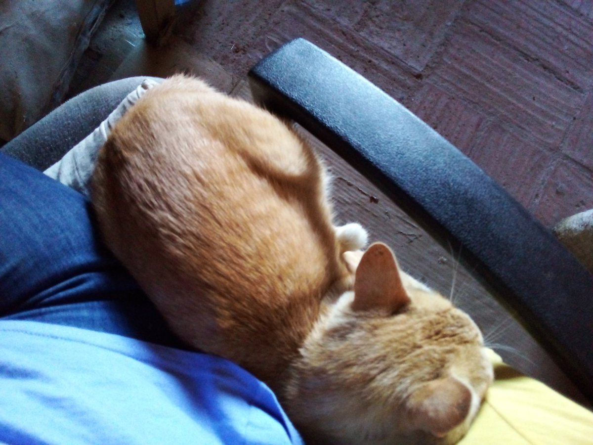 Gabrielantinea's tweet photo. Que sí cabemos los dos en tu silla. https://t.co/n5tQr1jQIc