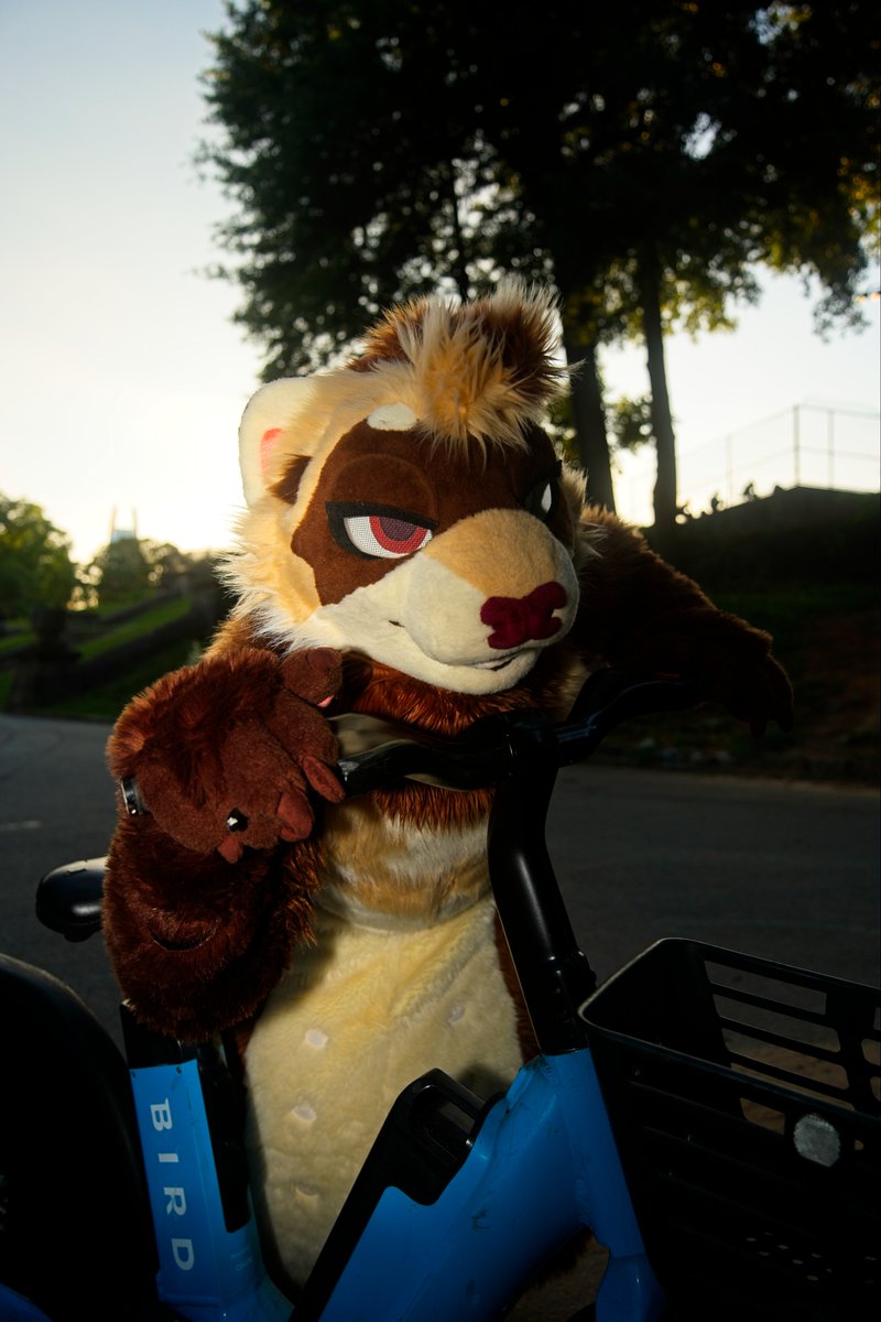 USIVISION's tweet photo. The critter @theSpackster was living large in ATL 🏙️ https://t.co/LoJDRdmrT0