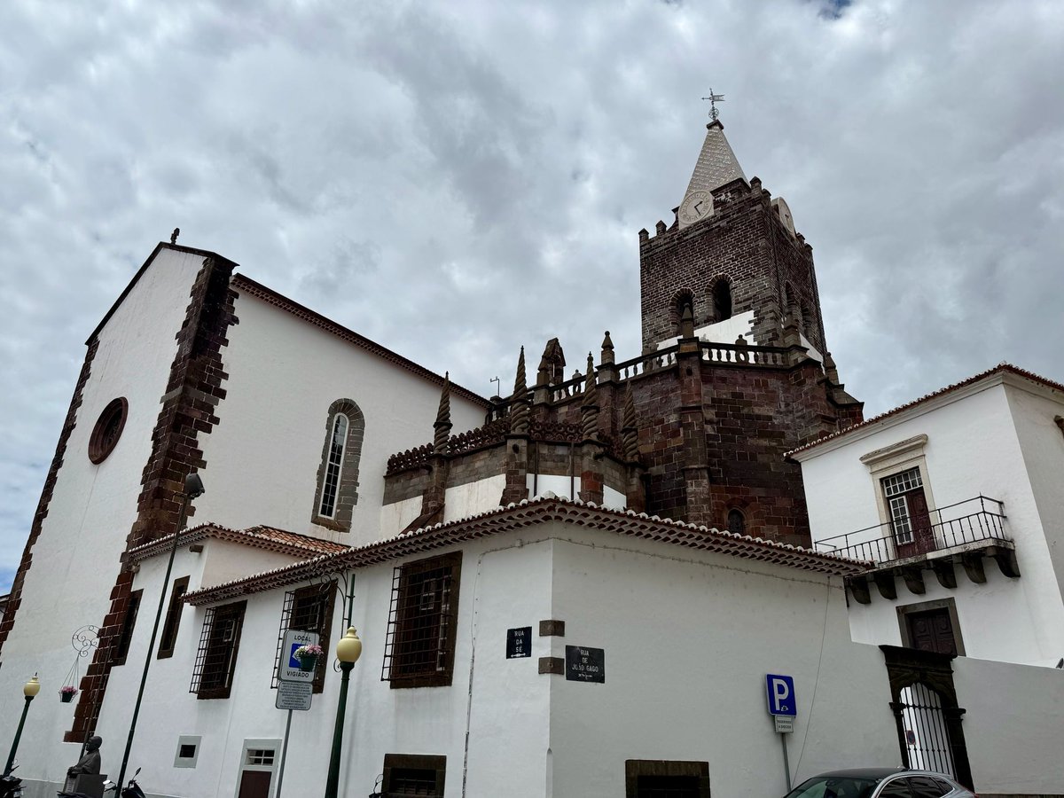 El viaje del mapache 🦝 tweet media