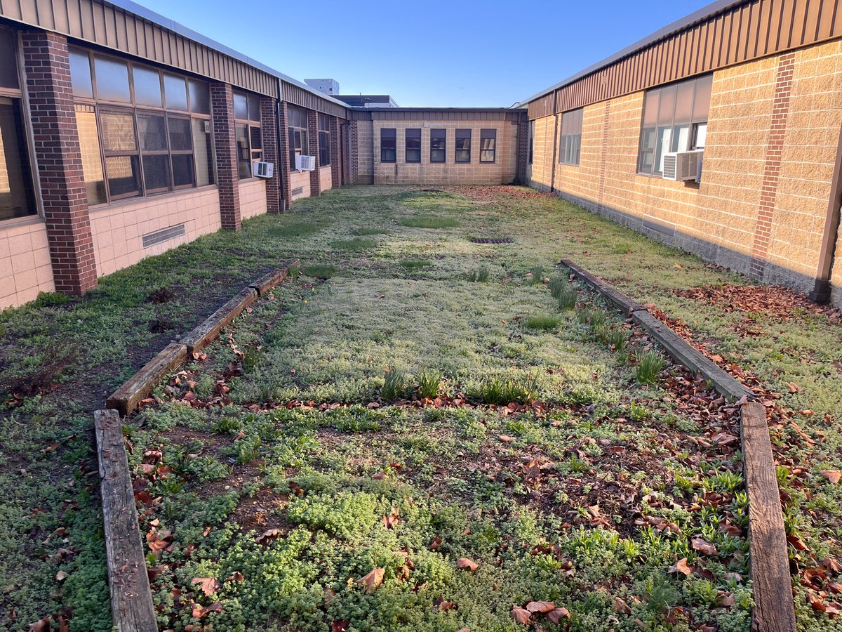 UFREF's tweet photo. An update on Ms. Panacek's Spring grant:
"6 pallets, 35 kids, &amp; 2 teachers but we got it done! Still got a bit to do, but it’s looking like a wonderful space for students to enjoy! I am also including a picture of how it looked when we startedin '25. Thank you UFREF!" https://t.co/9JKwetR43M