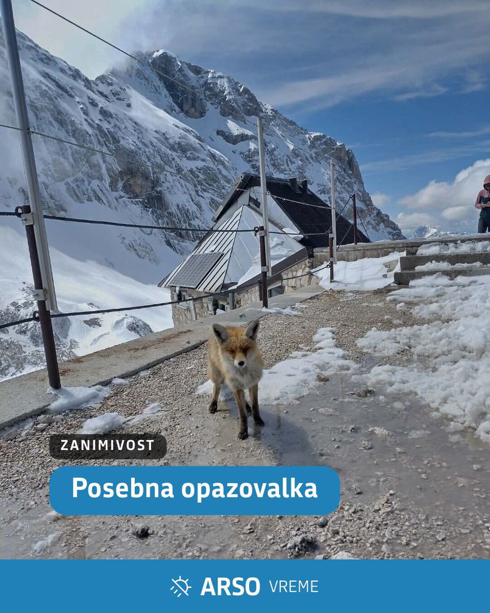 ARSO vreme tweet media