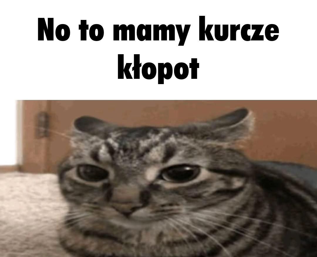 Andrzej Śledź tweet media