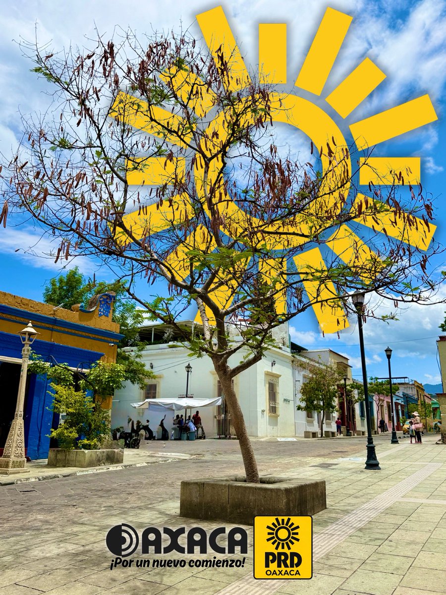 PRD Oaxaca tweet media