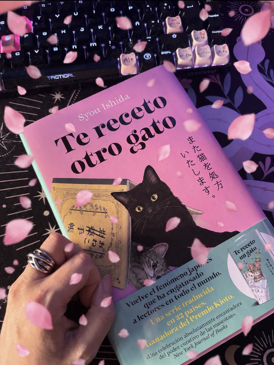 🌸 𝔽𝕖𝕝𝕦𝕣𝕚𝕒𝕙𝕟 🌸 tweet media
