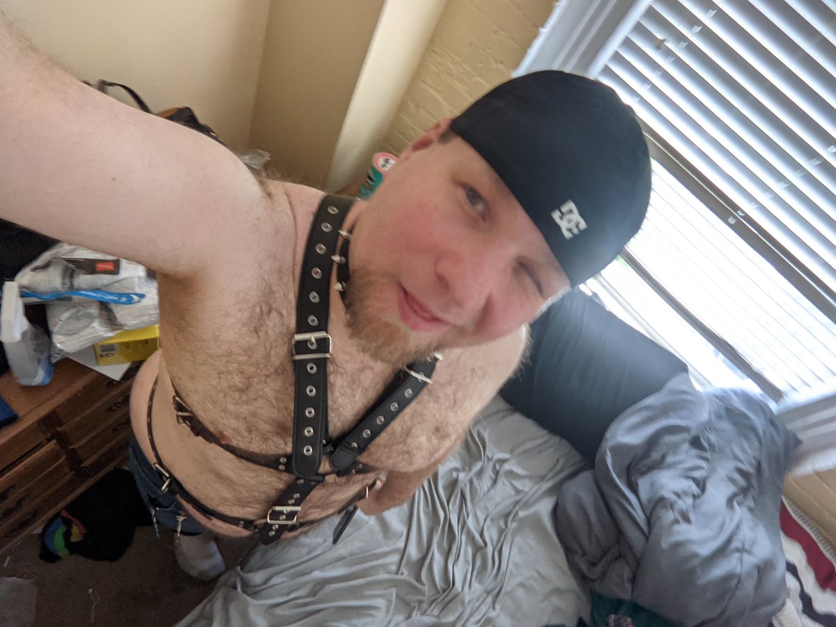 BearCub Belladonna tweet media