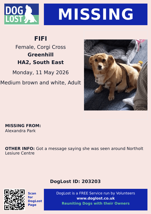 millypod1's tweet photo. 🆘11 MAY 2026 #Lost Fifi #ScanMe
Corgi Cross Female
Alexandra Park #Greenhill #GreaterLondon
#SouthHarrow #Northolt #HA2
Seen around Northolt Lesiure Centre
https://t.co/ERz50UmBvm https://t.co/dnXsRqlE6Z