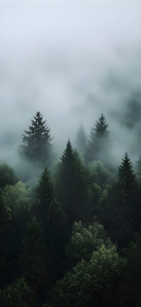 just_unique0's tweet photo. New wallpaper https://t.co/jAKoo25Z3b
