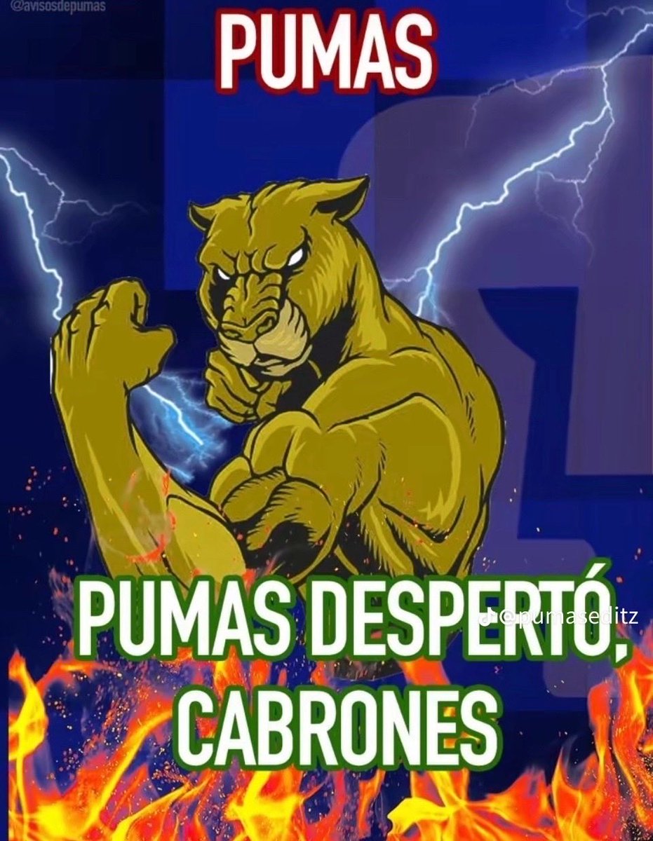 A Mexican loco tweet media
