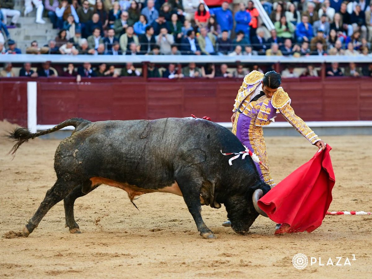 LasVentas's tweet photo. 2️⃣| Silencio para 𝗖𝗔𝗟𝗜𝗧𝗔 con el segundo de la tarde. Silencio para el de 𝙋𝙖𝙧𝙩𝙞𝙙𝙤 𝙙𝙚 𝙍𝙚𝙨𝙞𝙣𝙖.
#LasVentas #SanIsidro2026 https://t.co/VWv1wwdY7O