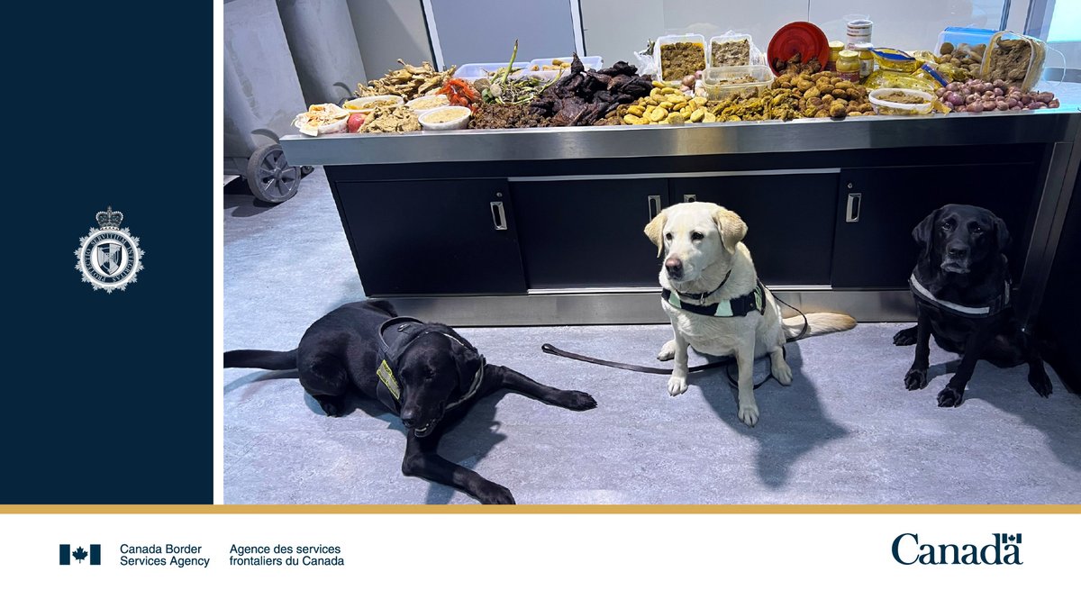 Canada Border Services Agency tweet media