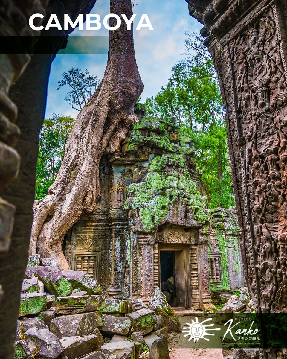 Mexico_Kanko's tweet photo. Un destino que transforma cada viaje en una experiencia extraordinaria.

❗️Viaja a #Camboya❗️Busca tu paquete: 🔗 https://t.co/P1ywjm25WG

🔎 Descubre la belleza de #Asia 👉🏻 Visita🔗 https://t.co/LIW6Dv7pt1

😉 Contáctanos: 👉🏻📲 https://t.co/65dYKJdaIn

#LlegaMásLejos #AngkorWat https://t.co/nL94QBa308
