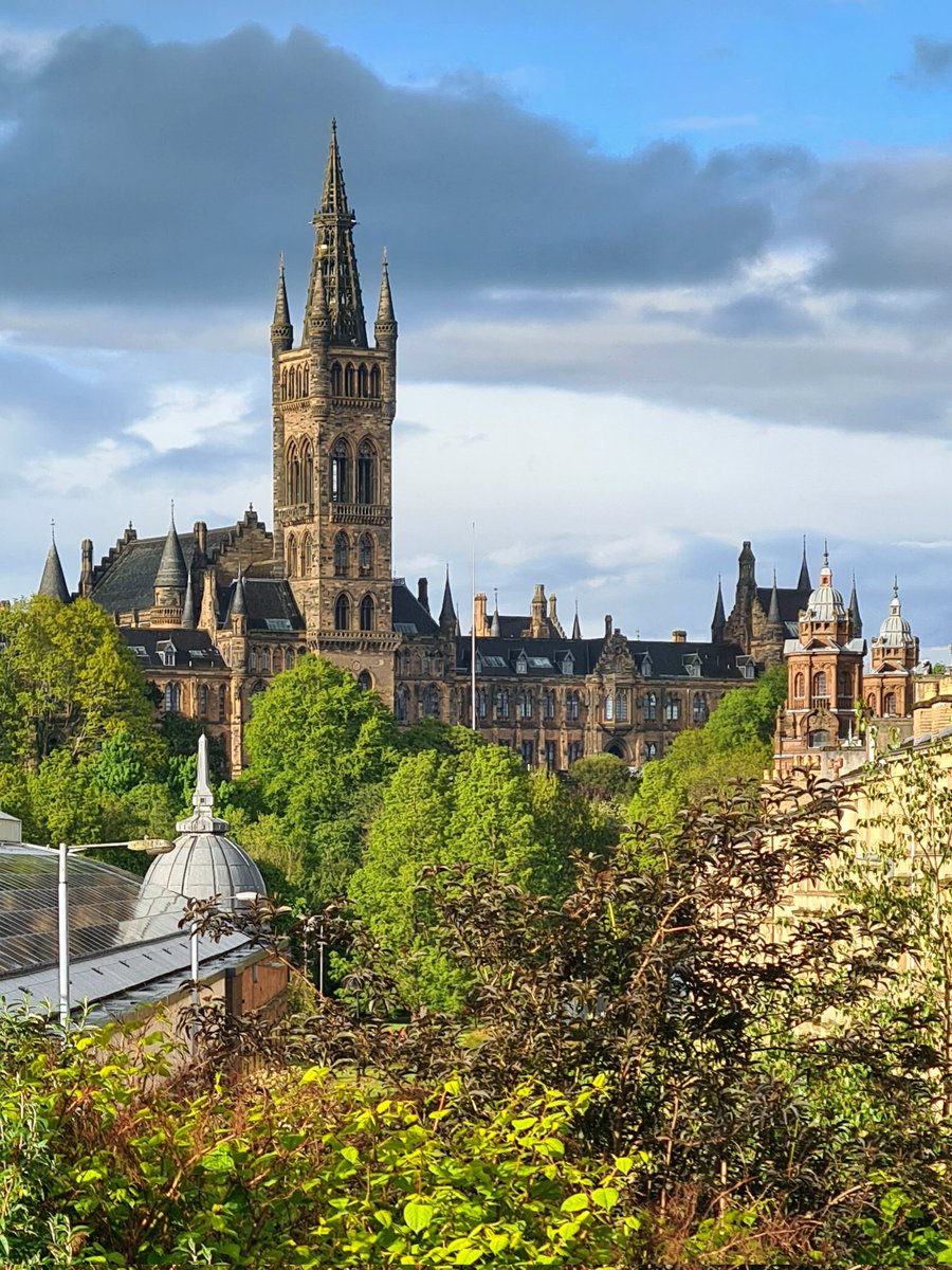 This Is My Glasgow tweet media