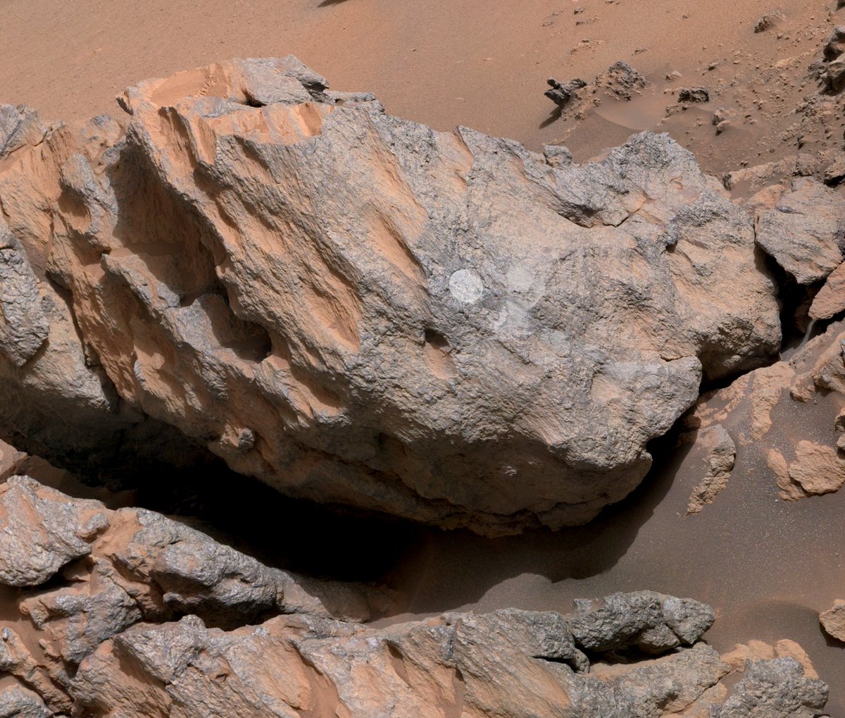 NASA JPL tweet media