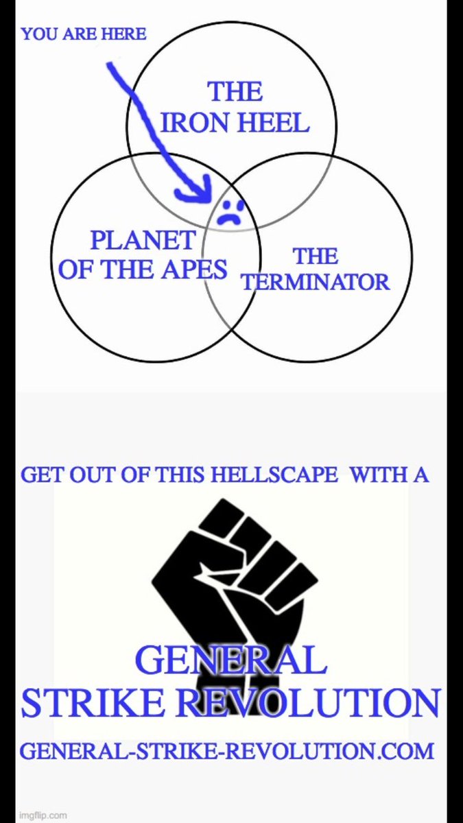 RPM4GeneralStrikeRevolution tweet media